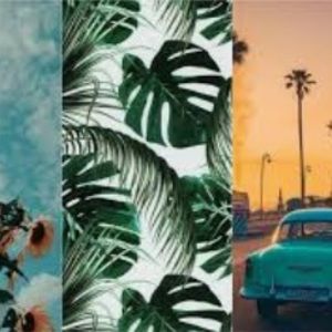 Meet your Posher, Audrey